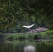 Nature walk