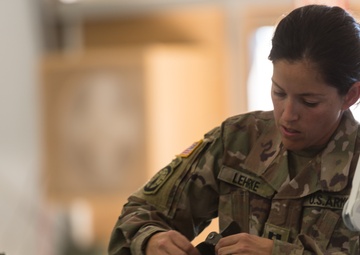 Medical Personnel Rapidly Deploy Forward Surgical Support Sites, Assess Simulated Patients