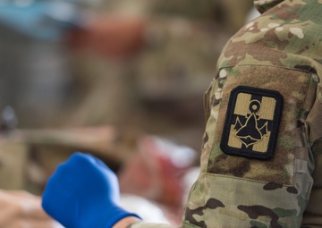 Medical Personnel Rapidly Deploy Forward Surgical Support Sites, Assess Simulated Patients