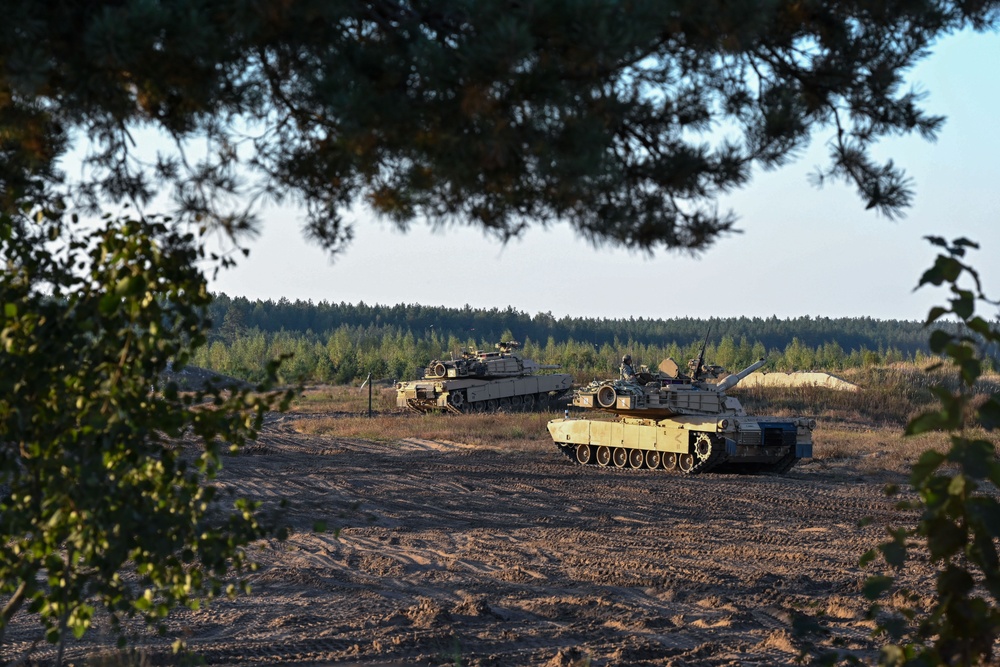 TSAE ETSD Lithuania