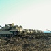 TSAE ETSD Lithuania