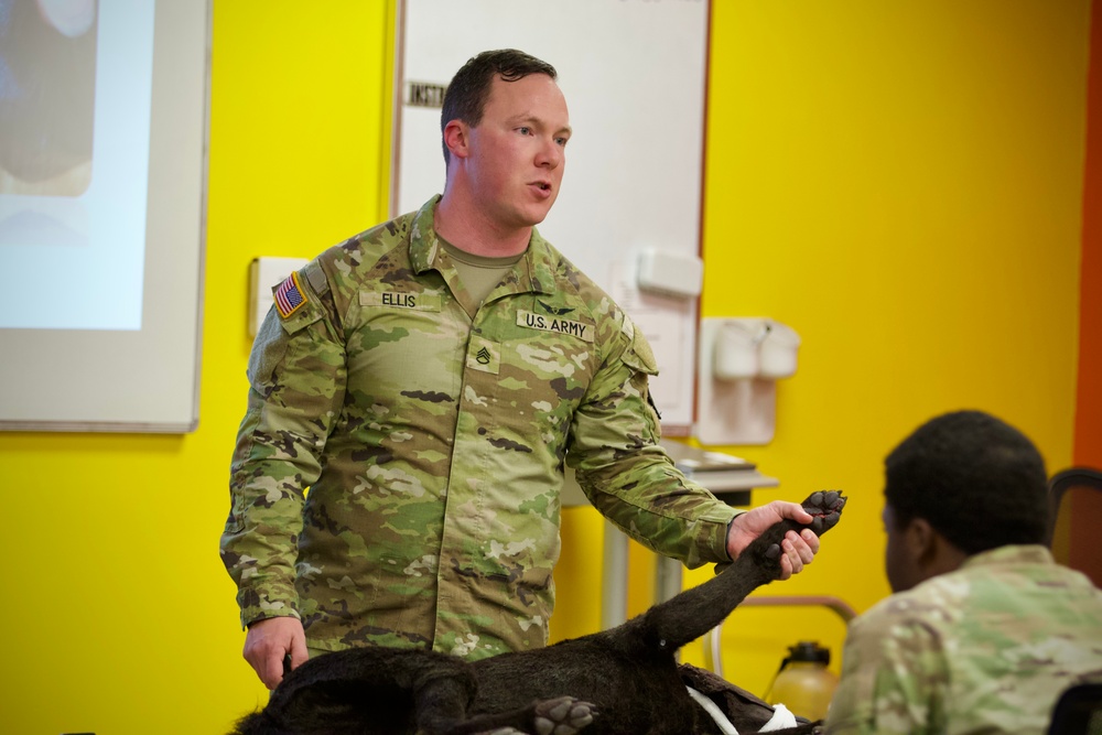 K-9 trauma skills training