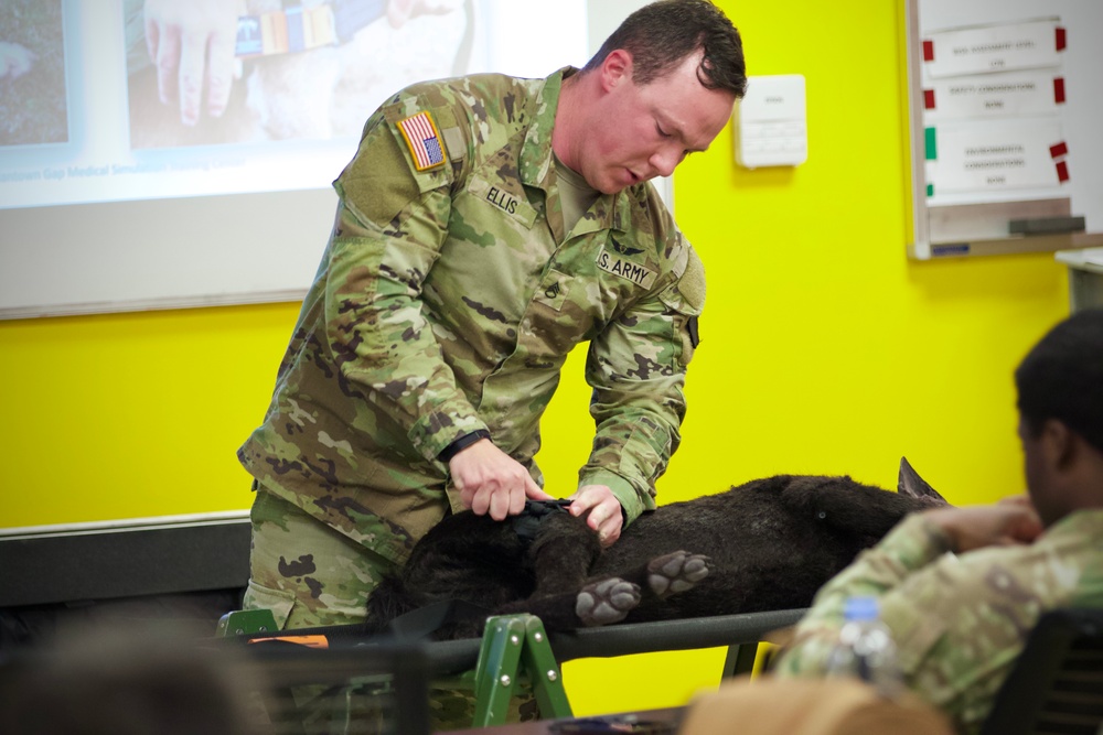 K-9 trauma skills training