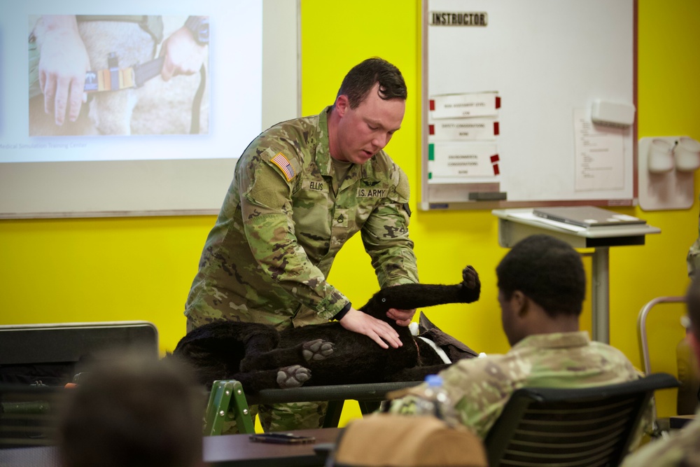 K-9 trauma skills training