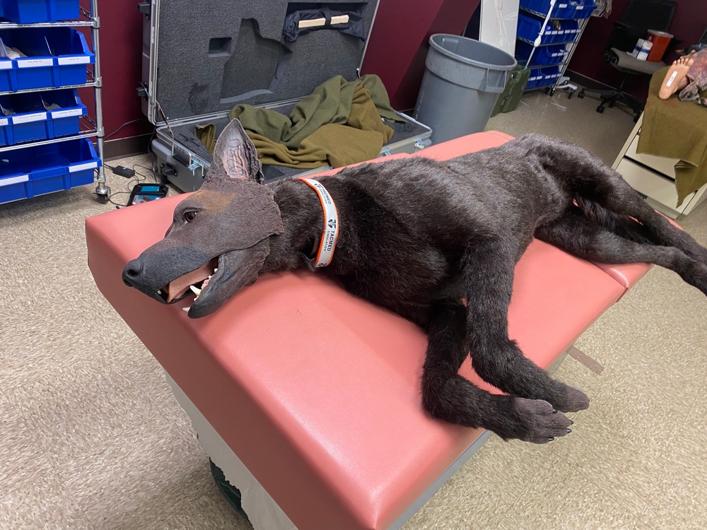 K-9 trauma skills training