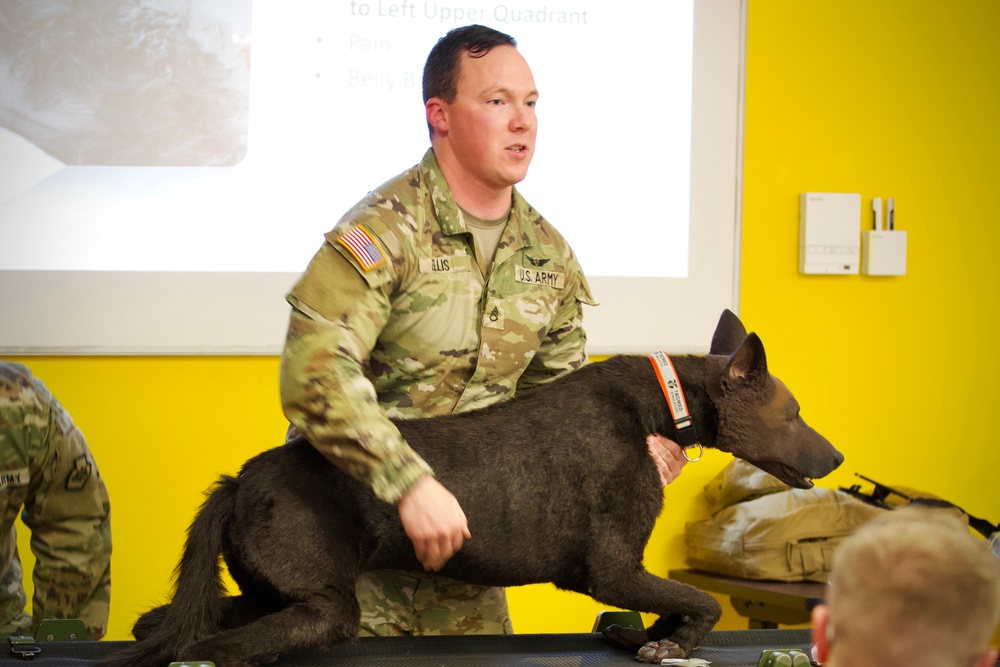 K-9 trauma skills training