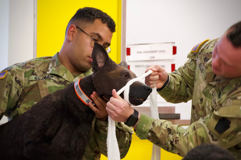 K-9 trauma skills training