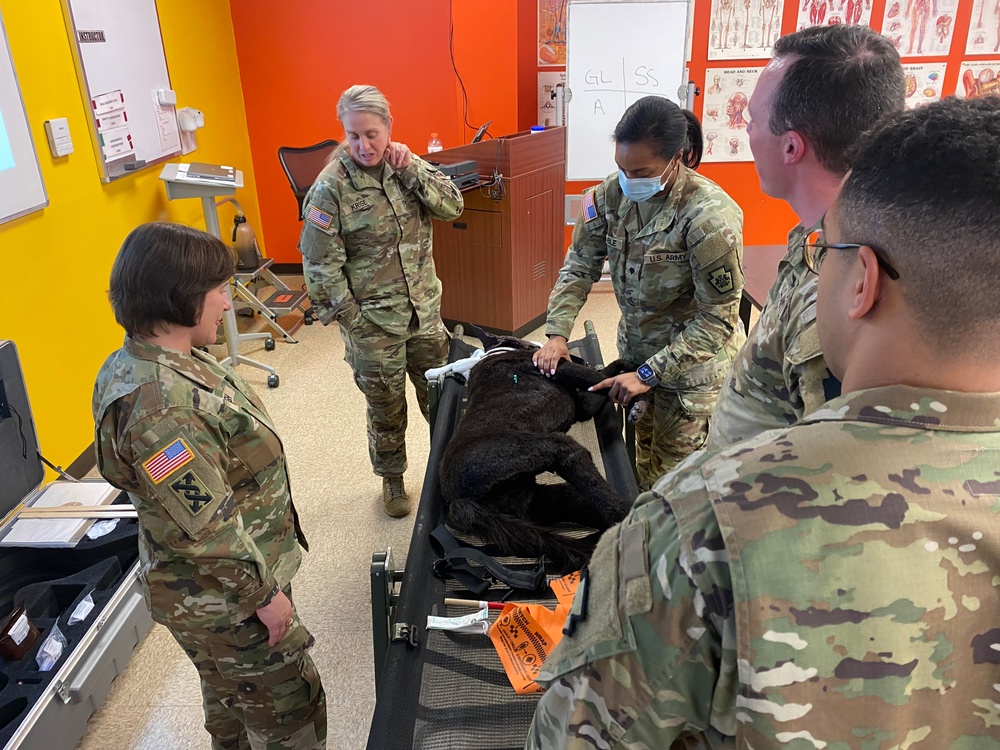 K-9 trauma skills training