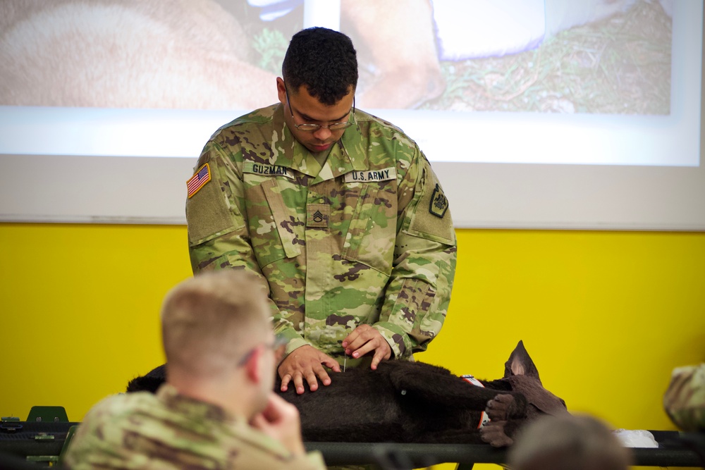 K-9 trauma skills training