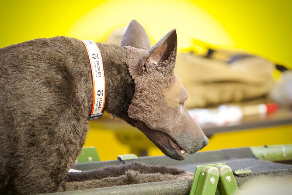 K-9 trauma skills training