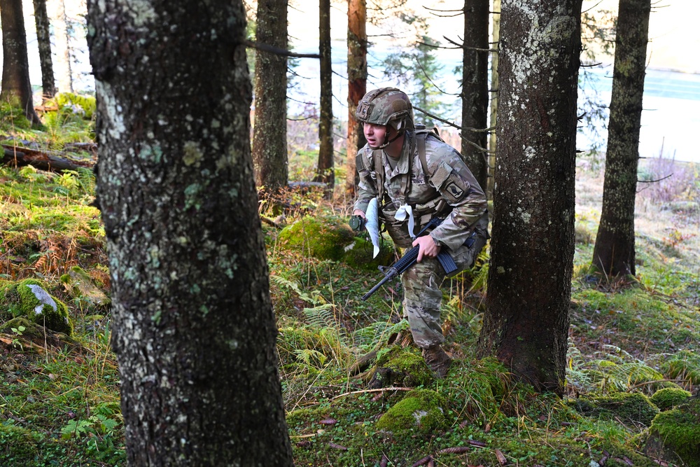 Expert Infantryman Badge, Expert Soldier Badge and Expert Field Medical Badge training.