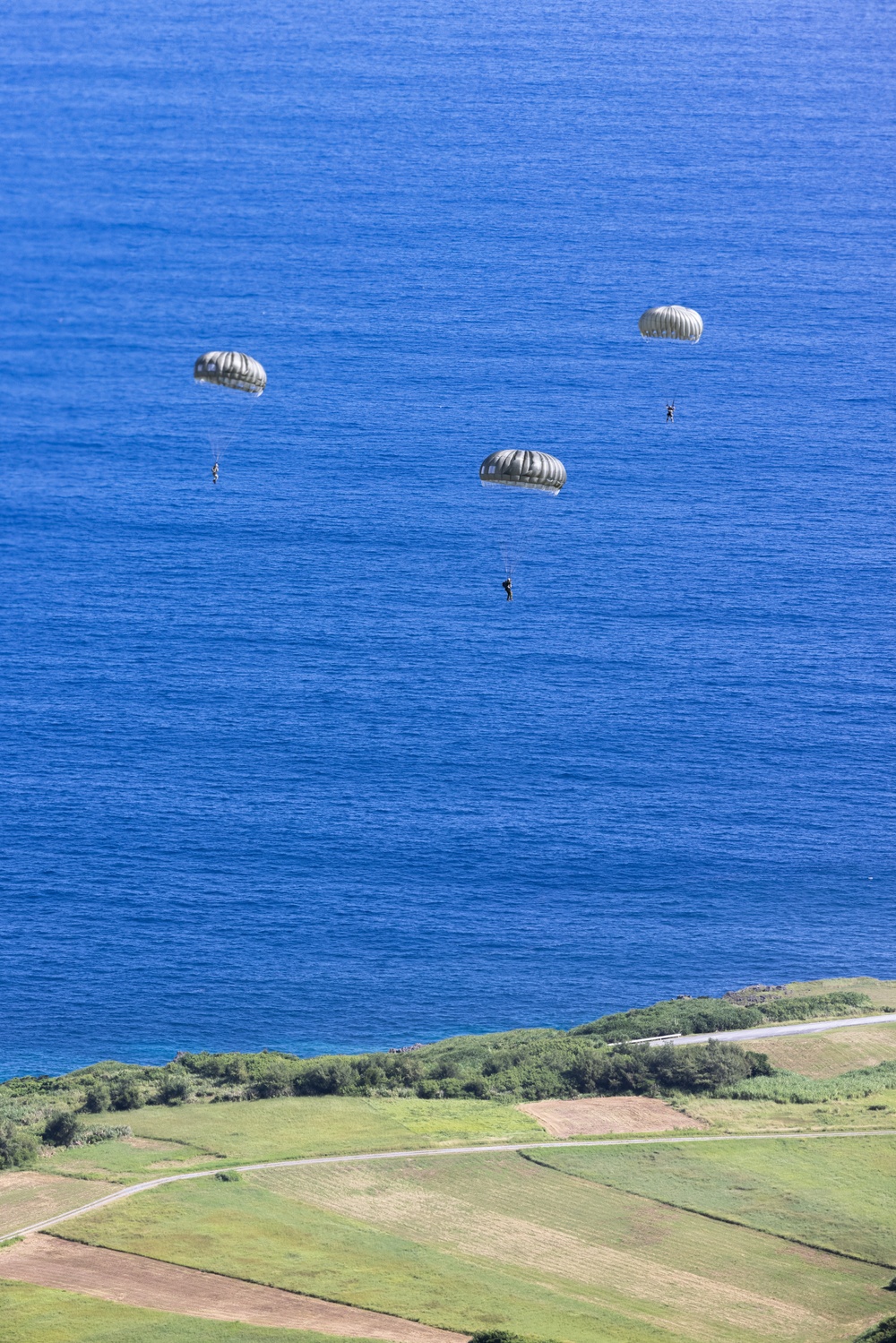 3d Recon Joint Para Ops