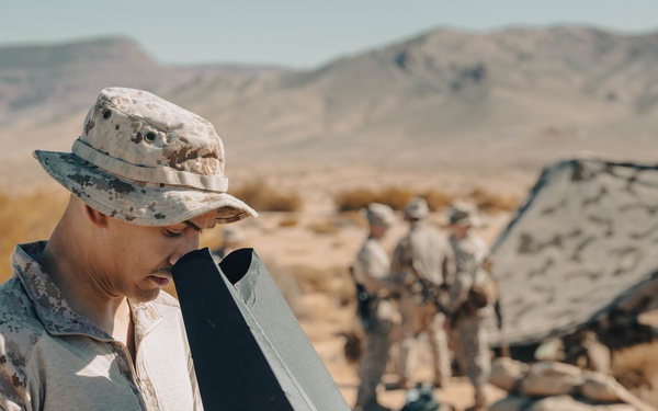 Intrepid Maven: Battlesight Zero