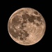 “Hunter’s Moon” illuminates Team Little Rock