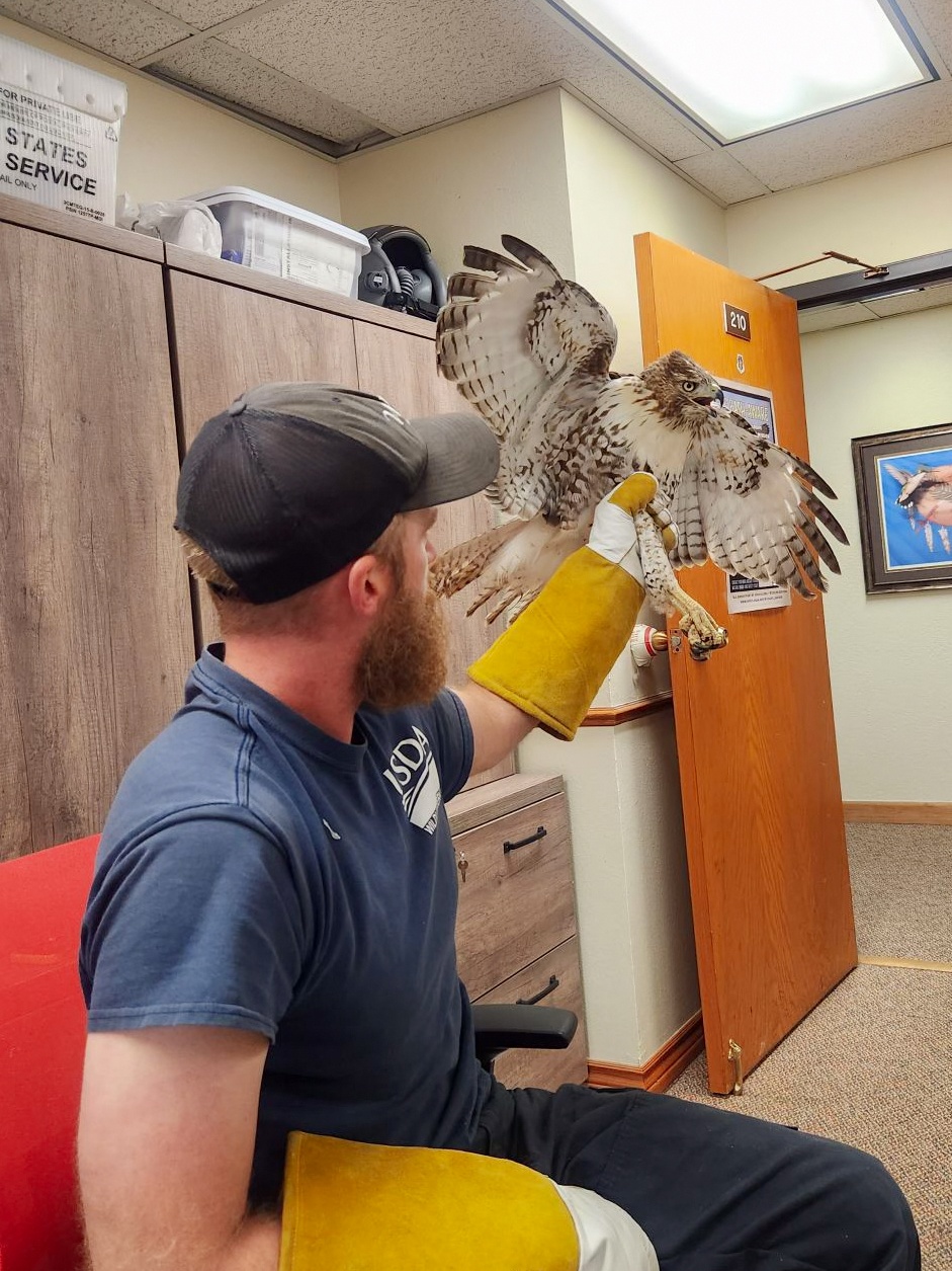 Clearing the flight path: USDA protects aircraft at Altus AFB