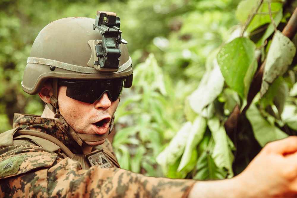 KAMANDAG 8: 15th MEU, Philippine Forces Rehearse for Coastal Defense