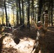 Army ROTC Brigade Ranger Challenge: One Rope Bridge