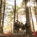 Army ROTC Brigade Ranger Challenge: One Rope Bridge
