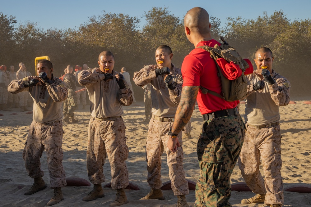 Charlie Company Body Sparring