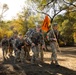 Army ROTC Brigade Ranger Challenge: Ruck