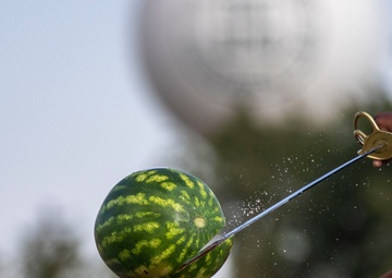 National Cavalry Competition