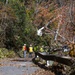 USACE oversees vegetation removal at North Carolina Arboretum