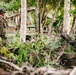 KAMANDAG 8: 15th MEU Defends Apurawan Beach Alongside Filipino Allies