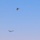 24.2 Red Sands Air Assets Rehearsals