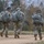 173rd Airborne Brigade jumps at Bunker Drop Zone
