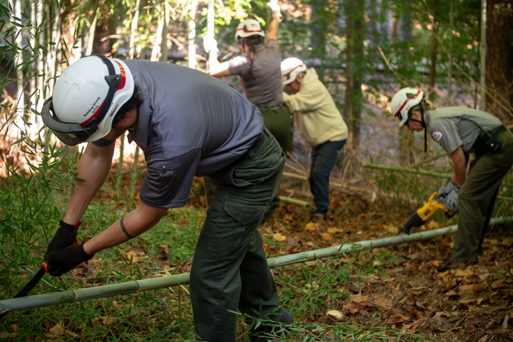 2024 Annual Bamboo Cutting Event