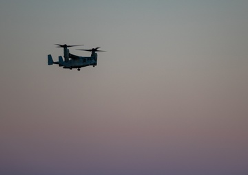 WTI 1-25: Assault Support Tactics