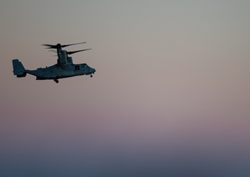 WTI 1-25: Assault Support Tactics