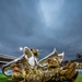 USAFA Football vs Colorado State 2024