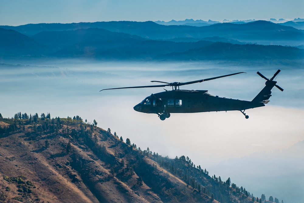 UH-60 Black Hawks in flight