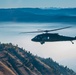 UH-60 Black Hawks in flight