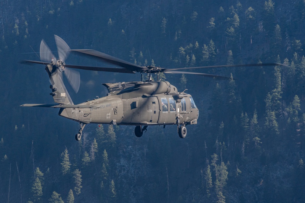 UH-60 Black Hawks in flight