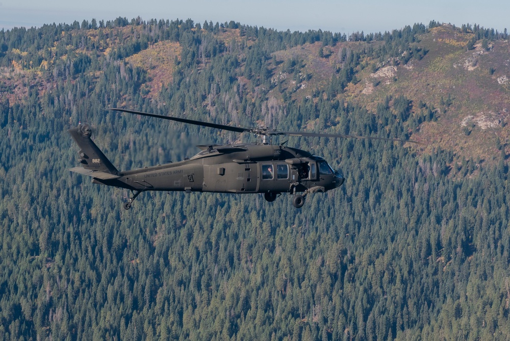 UH-60 Black Hawks in flight