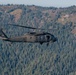 UH-60 Black Hawks in flight