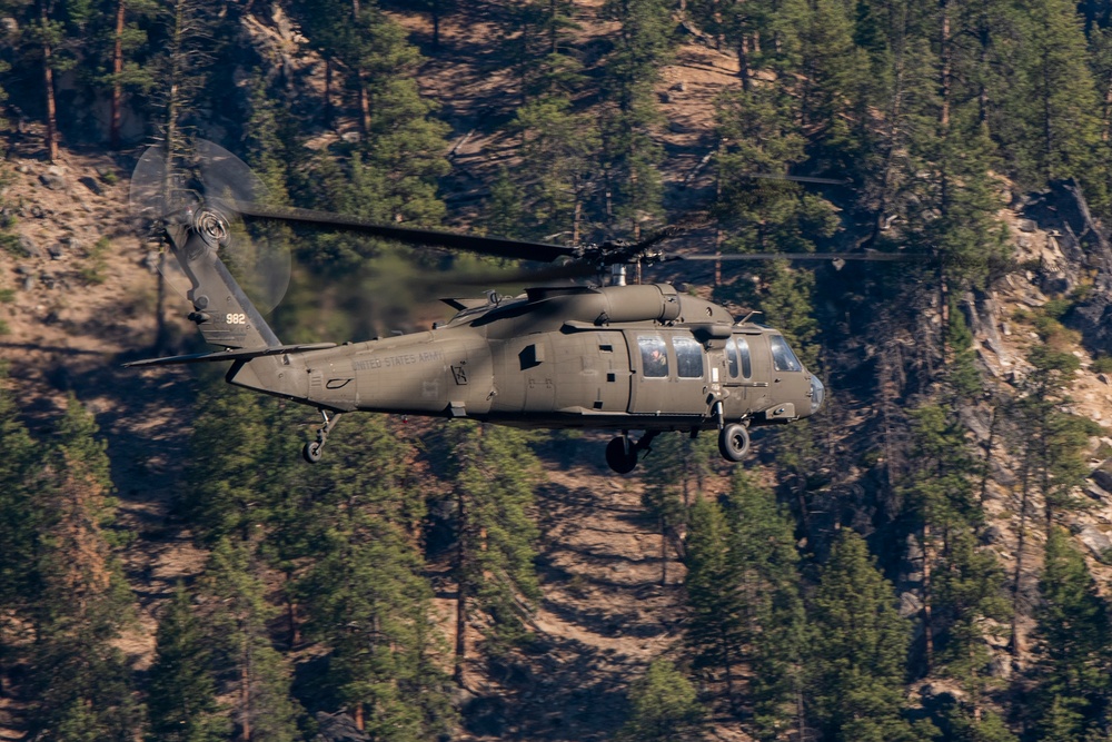 UH-60 Black Hawks in flight