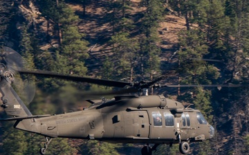 UH-60 Black Hawks in flight