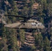 UH-60 Black Hawks in flight