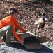 Pheasants released at Fort Indiantown Gap