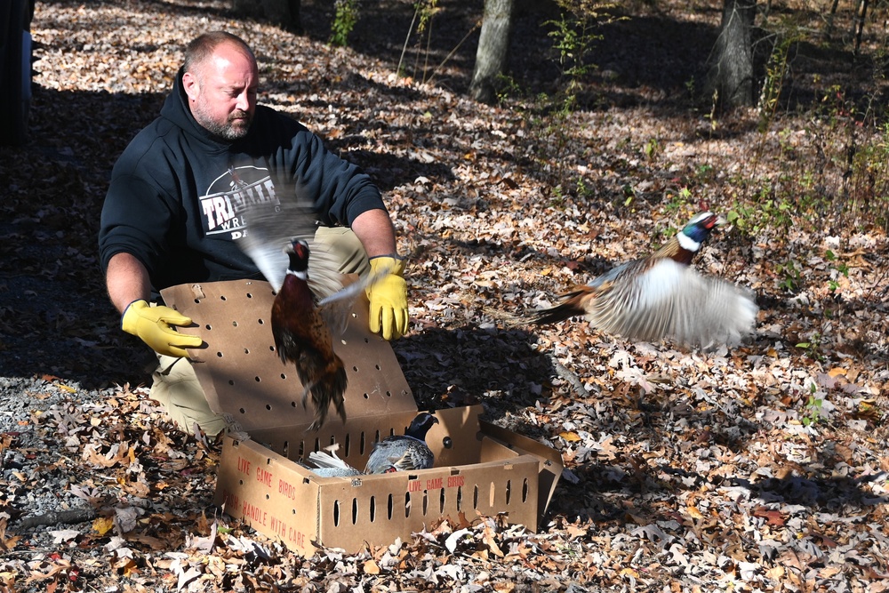 Pheasants released at Fort Indiantown Gap