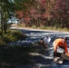 Pheasants released at Fort Indiantown Gap