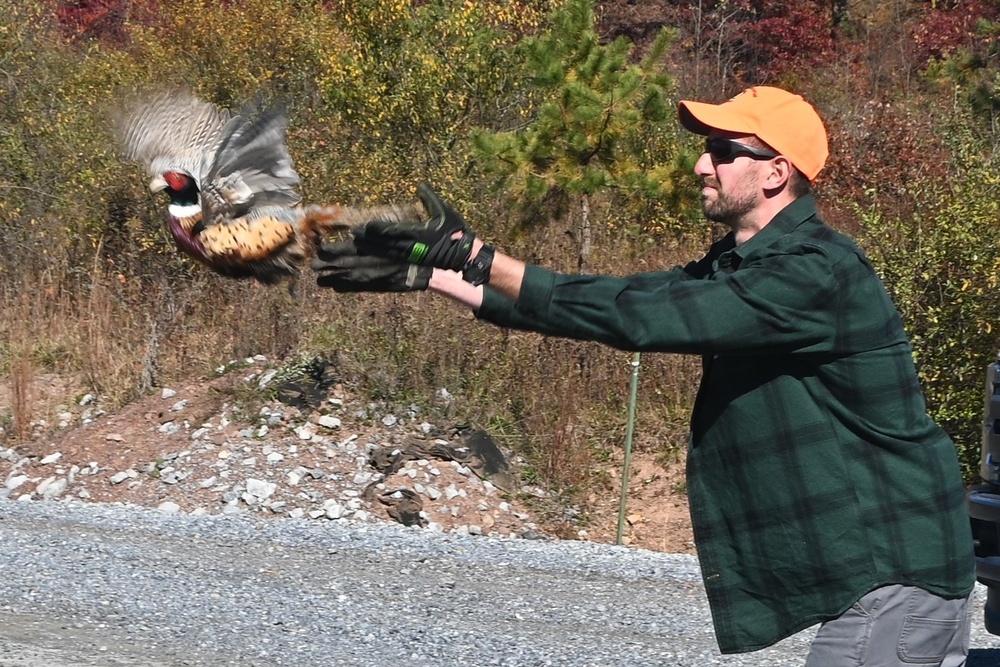 Pheasants released at Fort Indiantown Gap