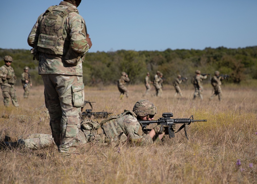 Combat Engineers Combat Simulated Combatants