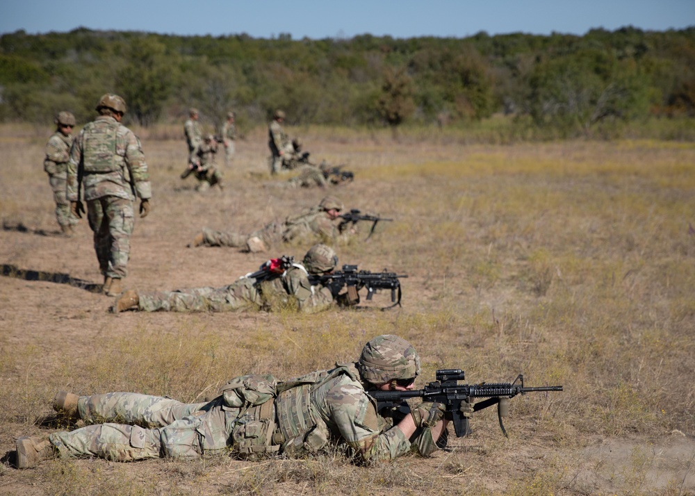 Combat Engineers Combat Simulated Combatants