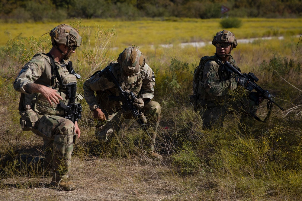 Combat Engineers Combat Simulated Combatants