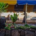 PMRF Hosts Aha ʻAwa Ceremony Rededicating Lua Kupapaʻu O Nohili (Crypt) Expansion for Safe Keeping of Iwi Kupuna