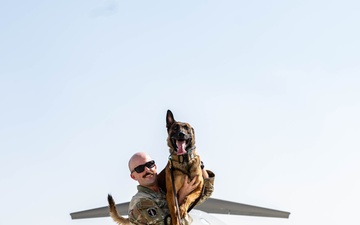 Military Working Dog Handler Portraits